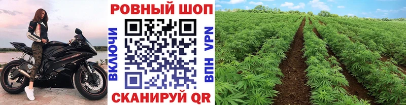 Какие есть наркотики Шарыпово ГАШ  Конопля  СК  Codein  Кокаин  Меф  МЕТАДОН 
