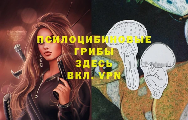 шишки Елизово