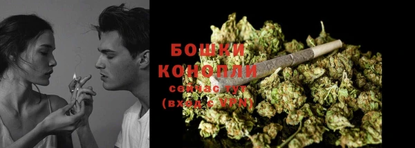 шишки Елизово