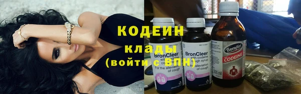 шишки Елизово