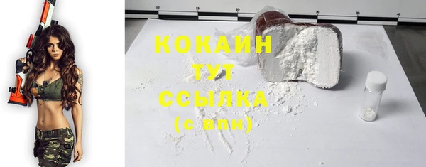 МДМА Ельня
