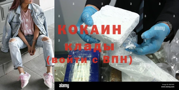 гидра Заволжск